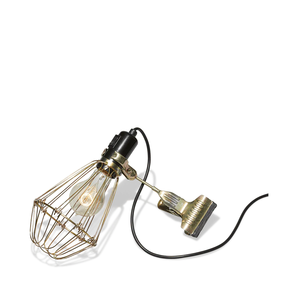 Image du produit 15